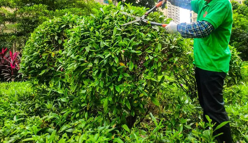 楼盘绿化工程怎么做的好