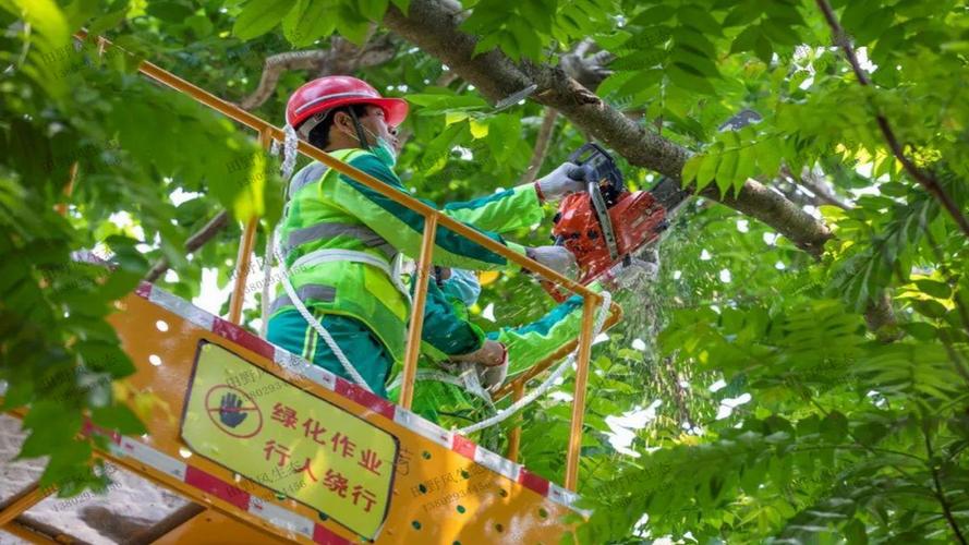 喀什绿化工程信息