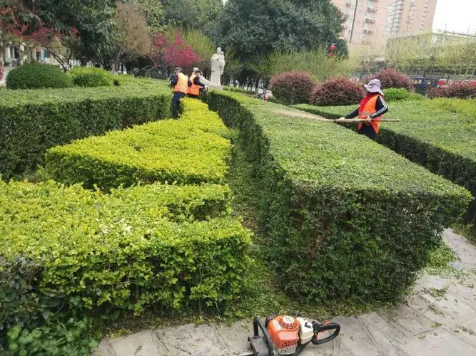 城市绿化管理遇困境：绿地设计调研揭示园林管理问题严峻